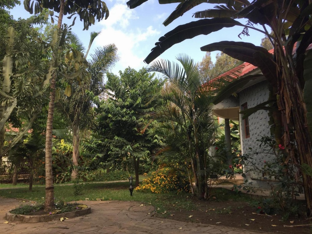 Planet Lodge