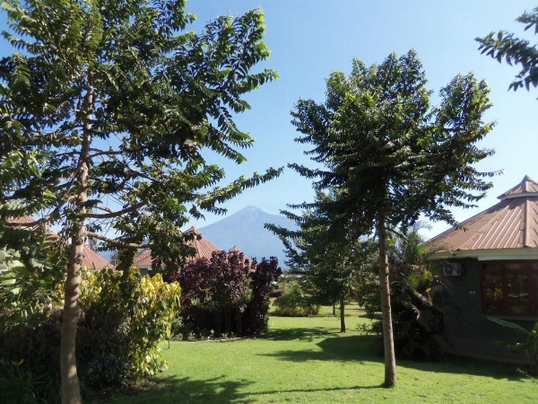 Planet Lodge image 10